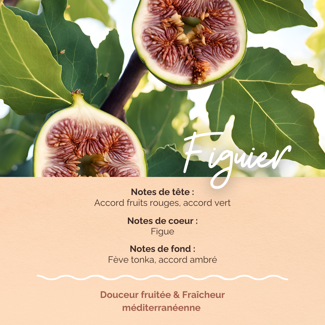 BOUGIE GRAND BISOU